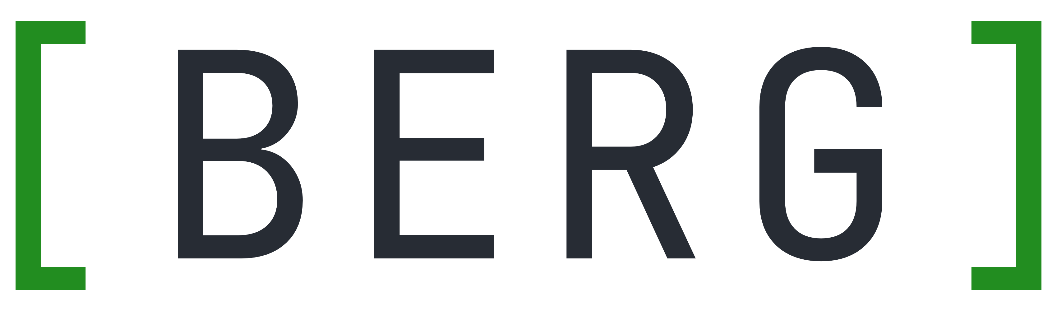 Berg Systems Engineering